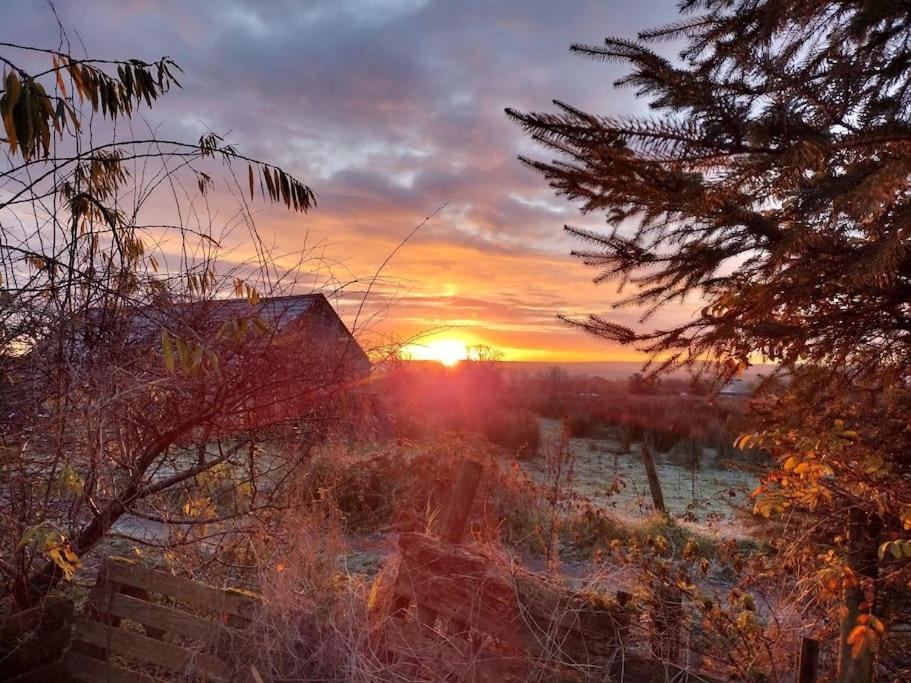 Forest View Cabin Ballaghaderreen Екстериор снимка