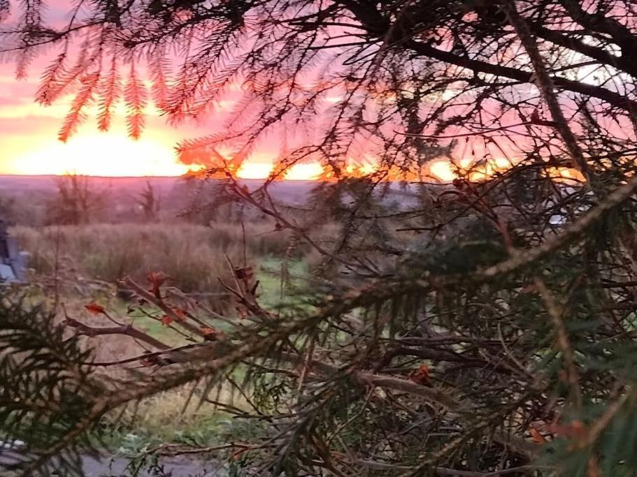 Forest View Cabin Ballaghaderreen Екстериор снимка