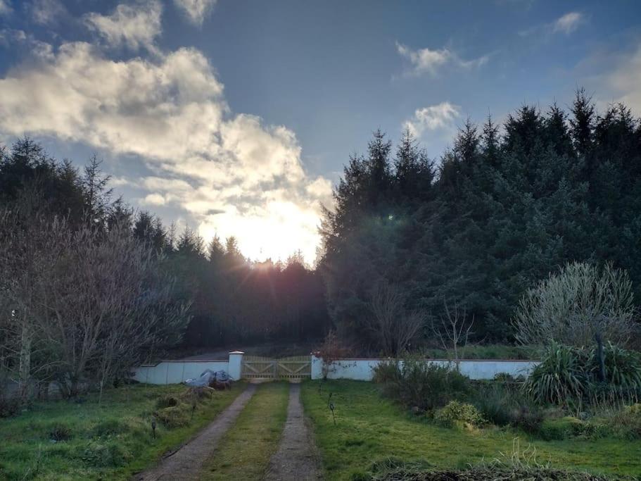 Forest View Cabin Ballaghaderreen Екстериор снимка