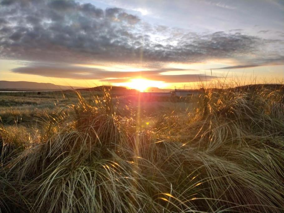 Forest View Cabin Ballaghaderreen Екстериор снимка