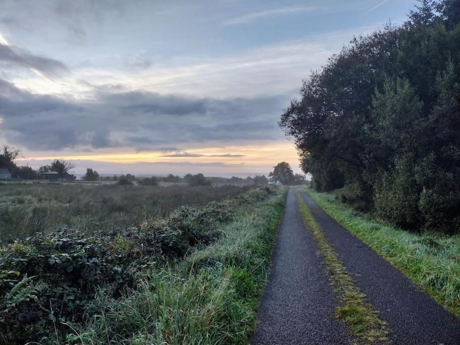 Forest View Cabin Ballaghaderreen Екстериор снимка