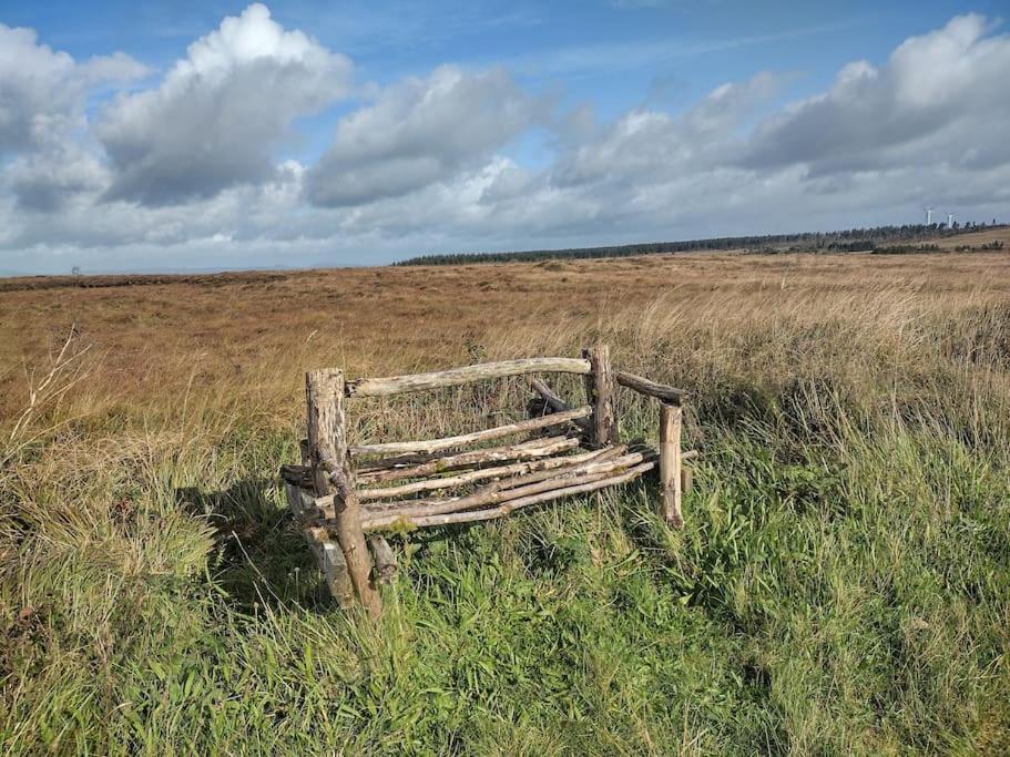 Forest View Cabin Ballaghaderreen Екстериор снимка